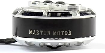 Amazon.com: TAROT TL2955 4008 330KV Martin RC Brushless Motor RC Amazon.com: TAROT TL2955 4008 330KV Martin RC Brushless Motor RC